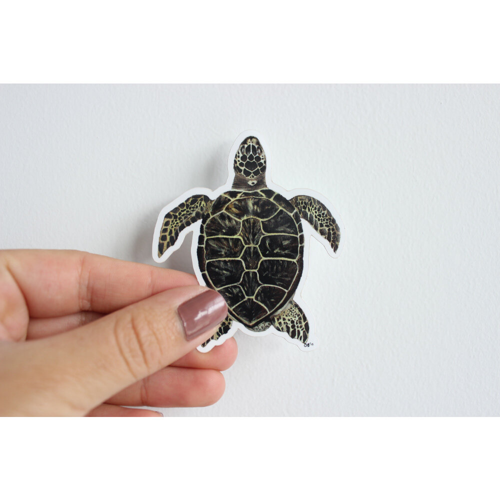 Green Sea Turtle Sticker