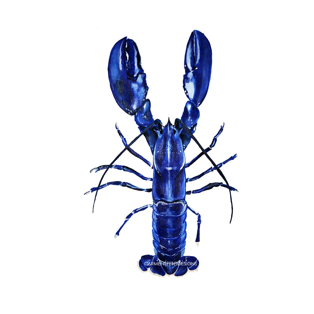 Blue Lobster 1000x1000.jpg