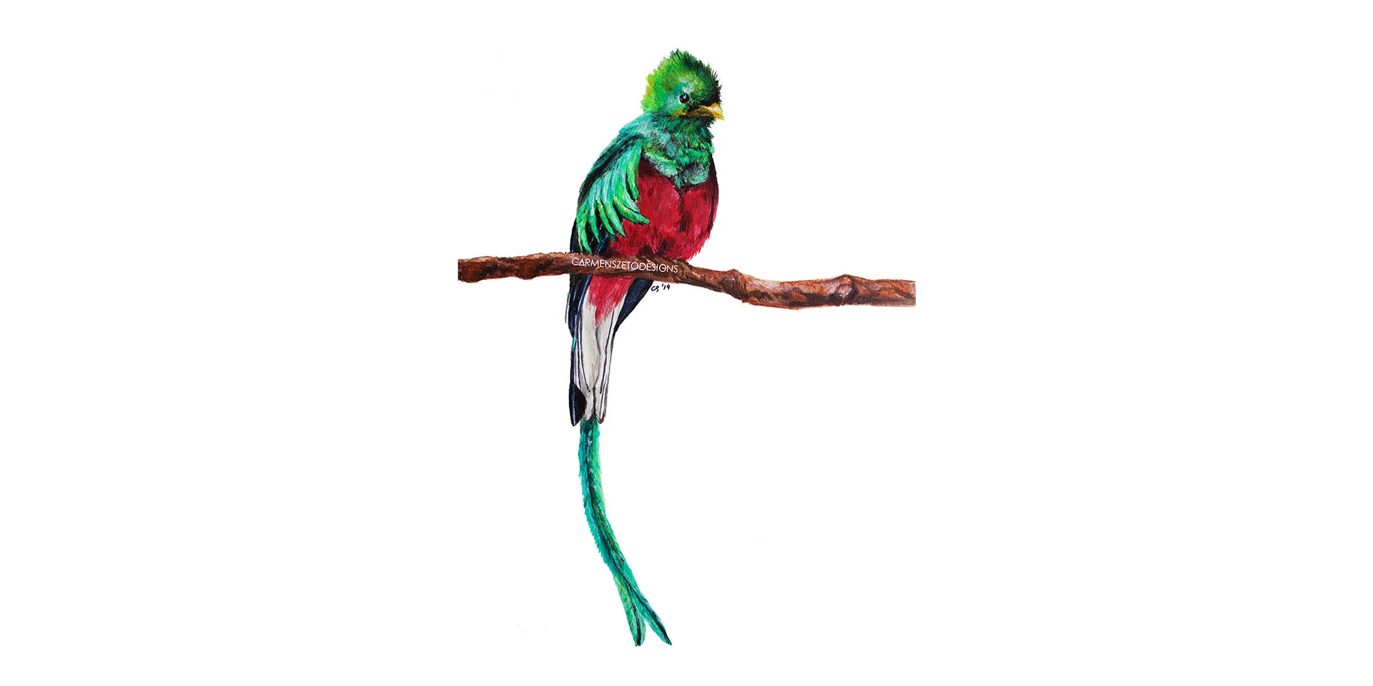 Quetzal 2000x1000.jpg