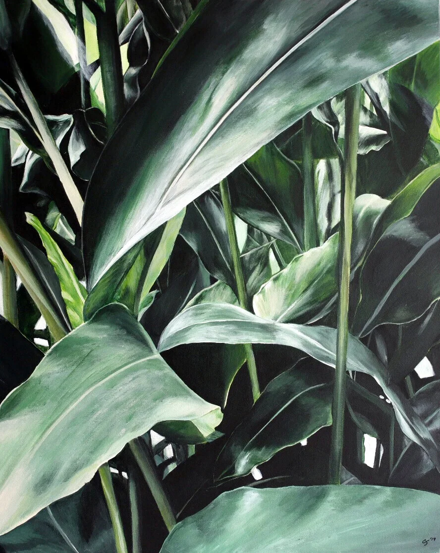 Allan Gardens Crop.jpg