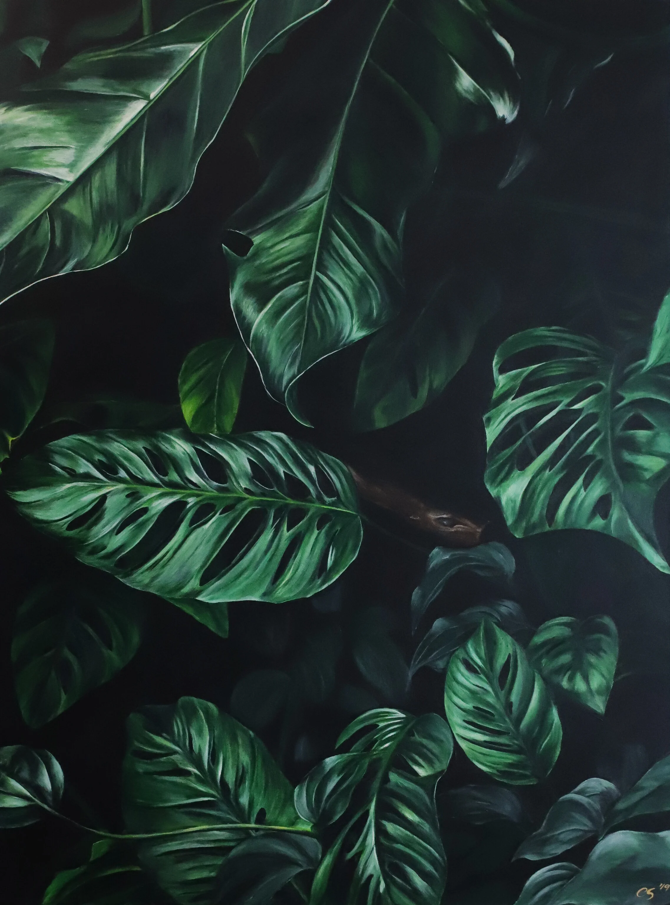 Rainforest.jpg