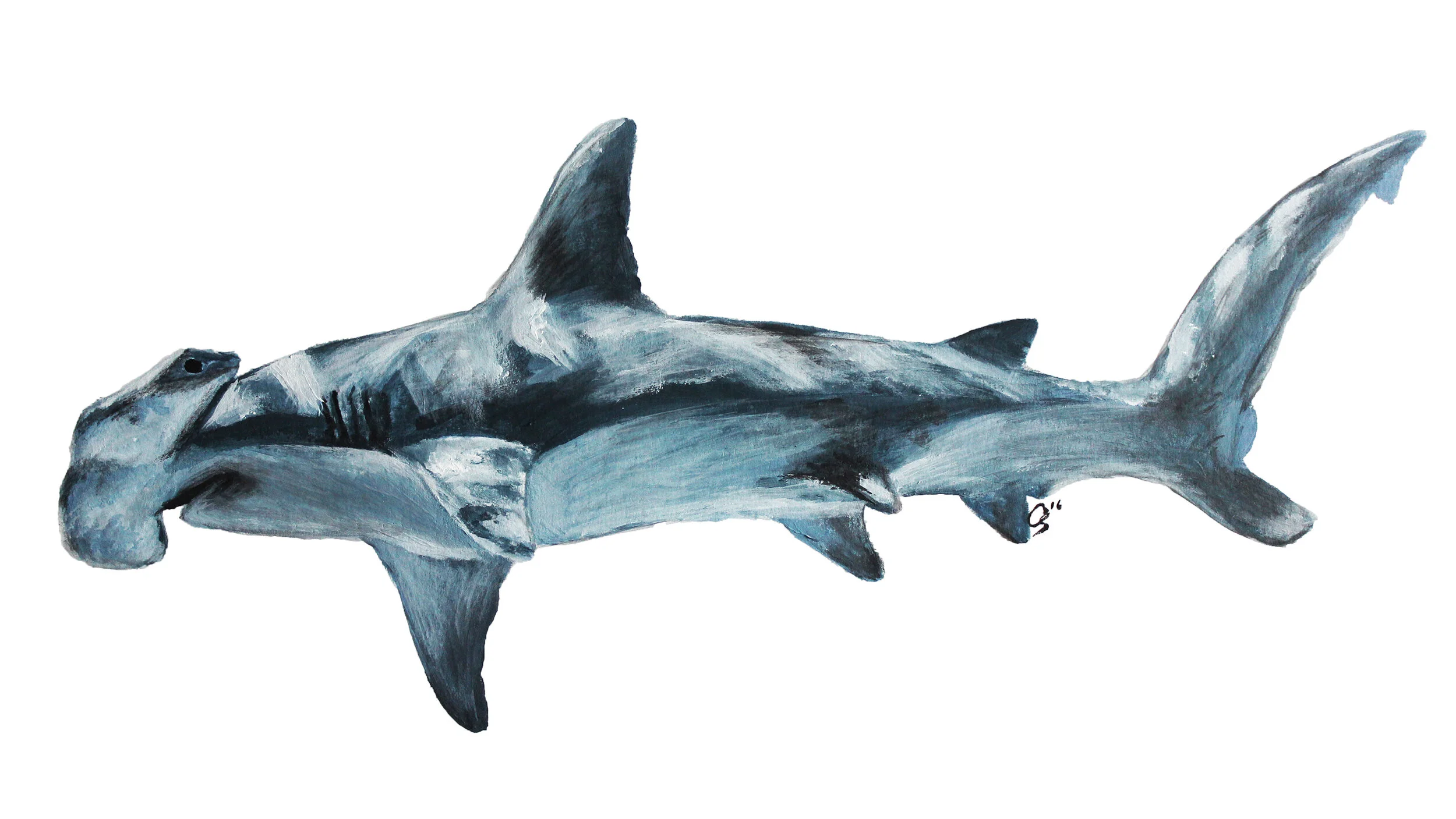 Hammerhead 2697x1518.jpg