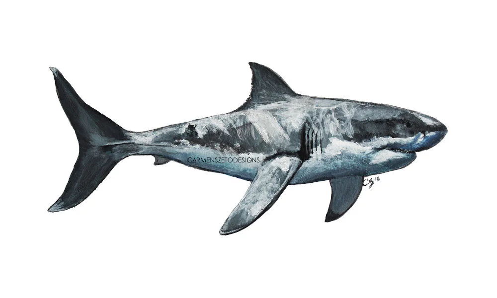 Great White Shark 1000x600.jpg