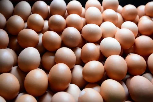 laughingearth_eggs 2.jpeg