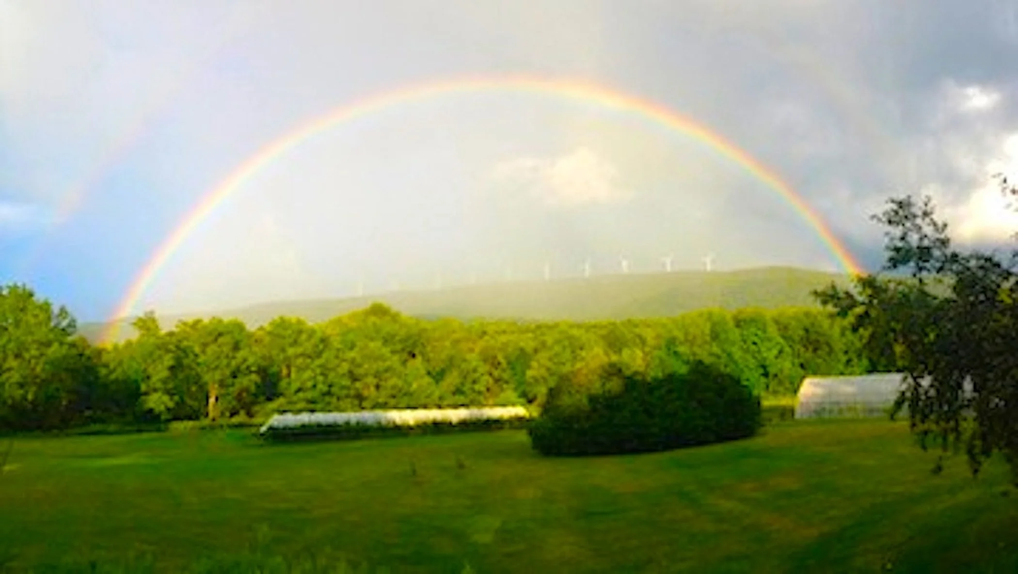 Many Forks rainbow.jpg