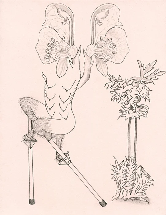 Exquisite Corpse 02 , 2013 Pencil on Canson "Dawn Pink" paper Collaborative drawing with Jaimie Henthorn
