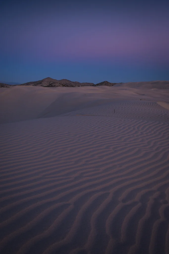 untitled_November 03, 2012-47-rob-witt.jpg