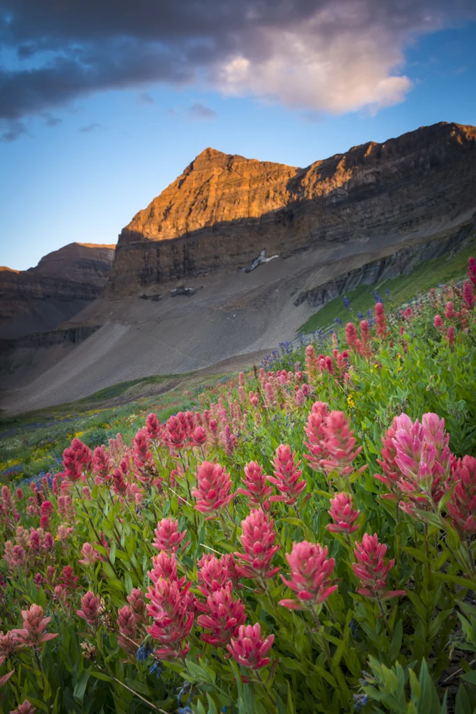 8-Timpanogos_August 01, 2013-30-Edit-rob-witt.jpg