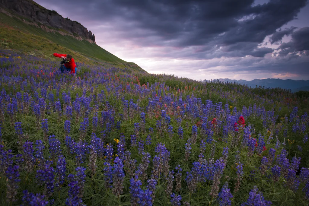 8-Timpanogos_August 01, 2013-41-rob-witt.jpg