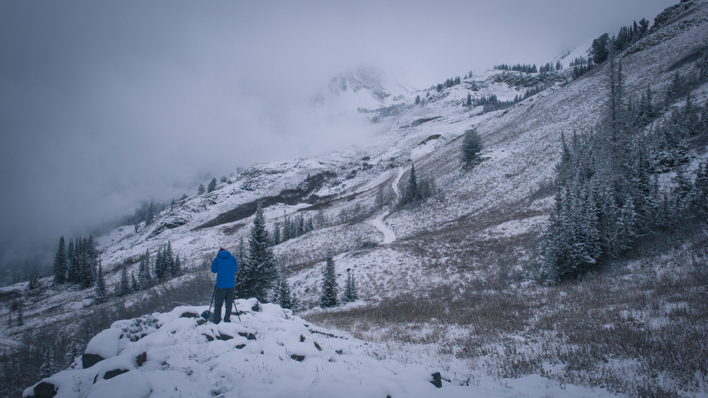 2014-11-Alta-31-rob-witt.jpg