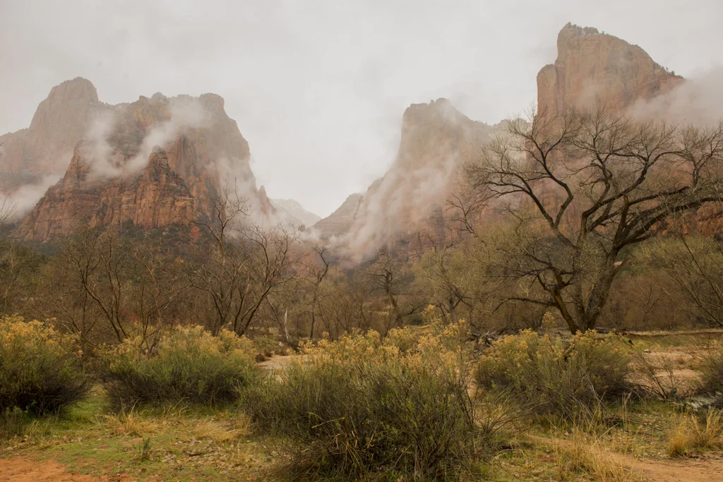 2015-02-22-Zions-1109-rob-witt.jpg