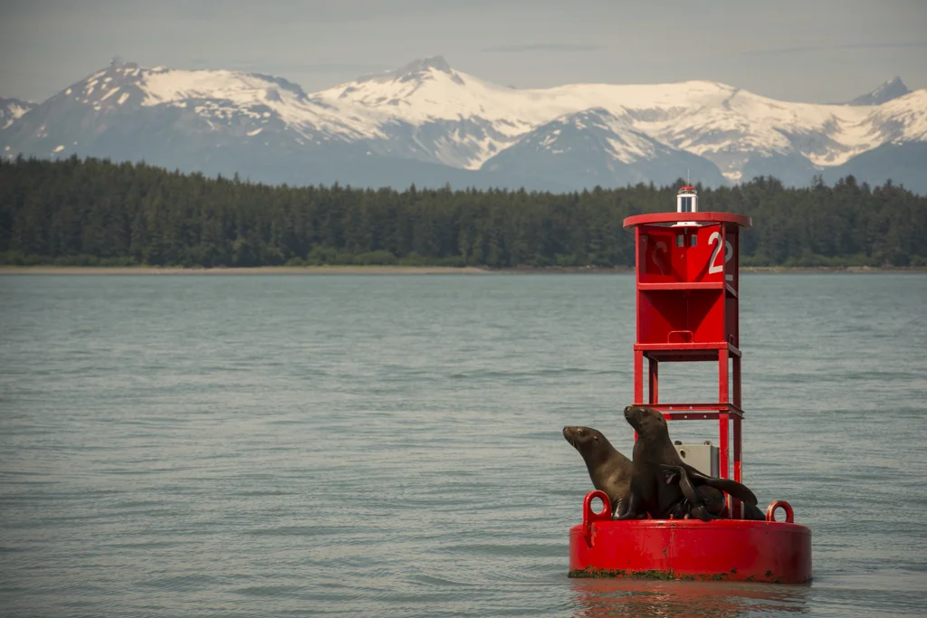 2015-06-Alaska-628-rob-witt.jpg
