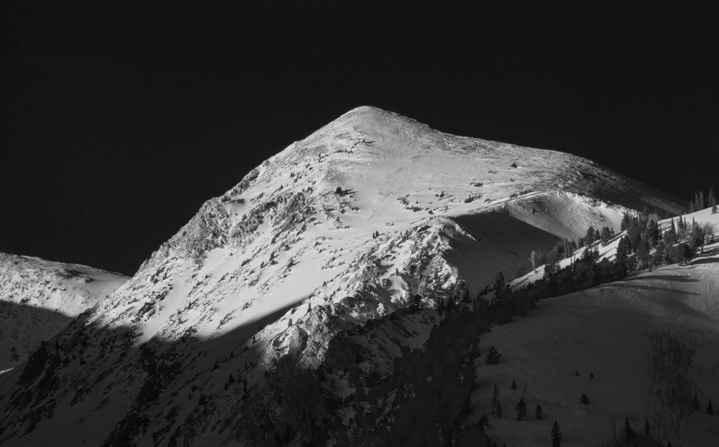 red-baldy-rob-witt.jpg