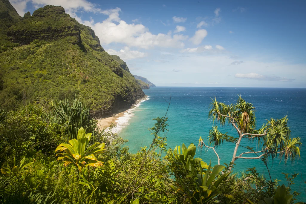 2014-6-Kauai-June 11, 201434-rob-witt.jpg