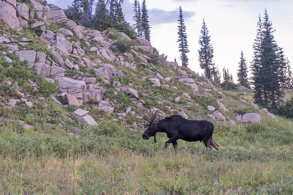 2015-08-Lake Catherine-1585-rob-witt.jpg