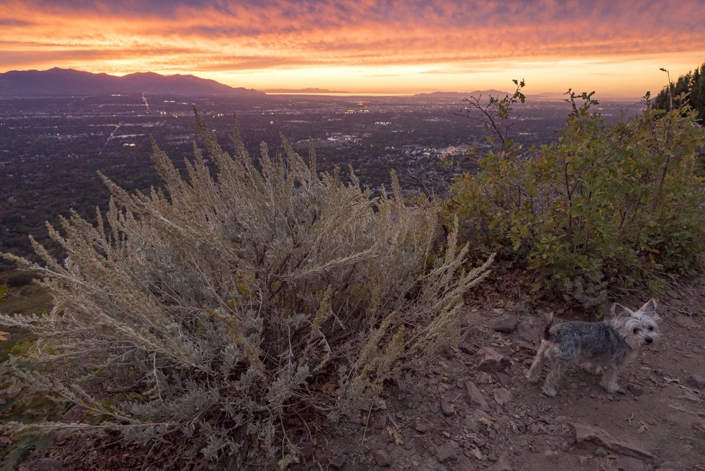 2015-09-Mt-Olympus-22-rob-witt.jpg