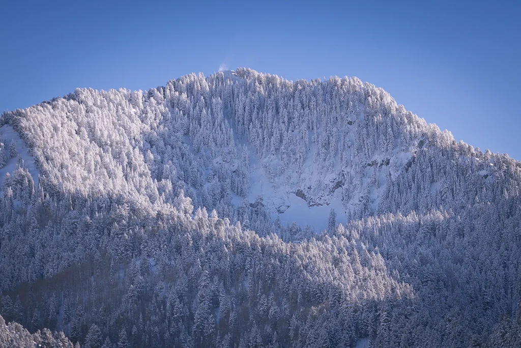 2015-12-Millcreek-11-rob-witt.jpg