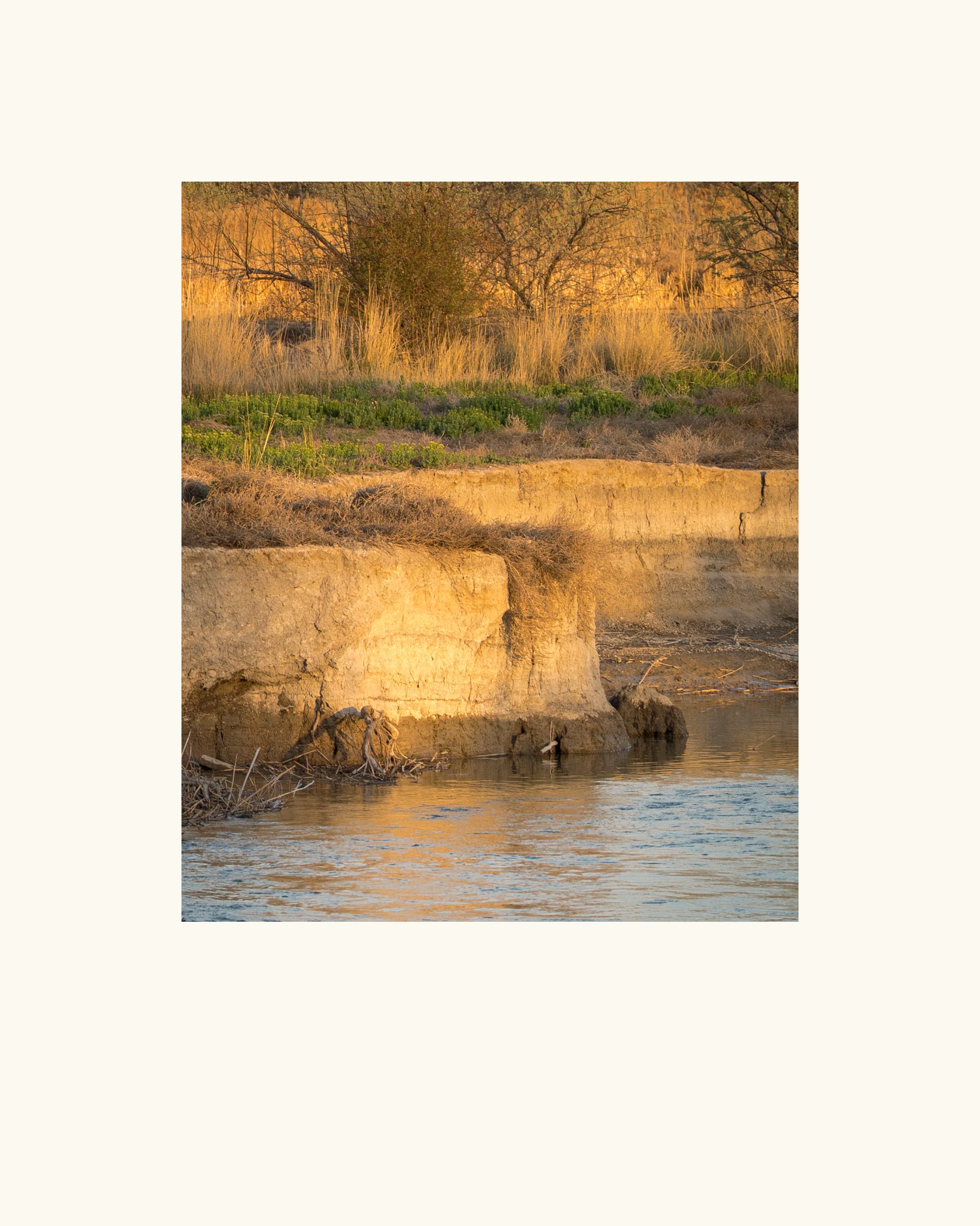 Light on a river bank