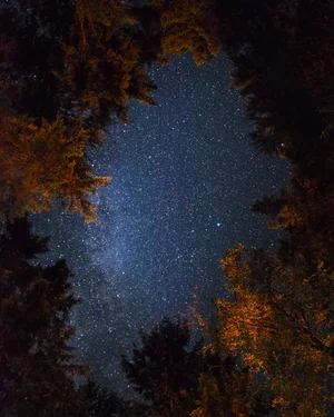 Vancouver+Island+Camping+Stars-1.webp