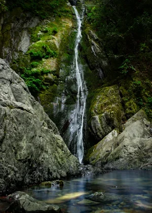 Vancouver+Island+Waterfalls-02-1.webp