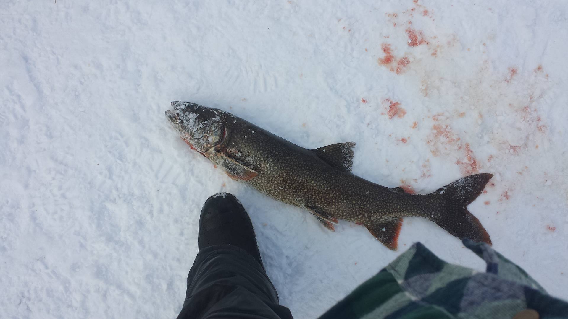 Winter Fishing on Chub.jpg