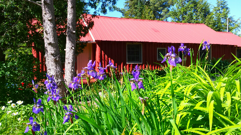 Iris Cottage from Back parking.png