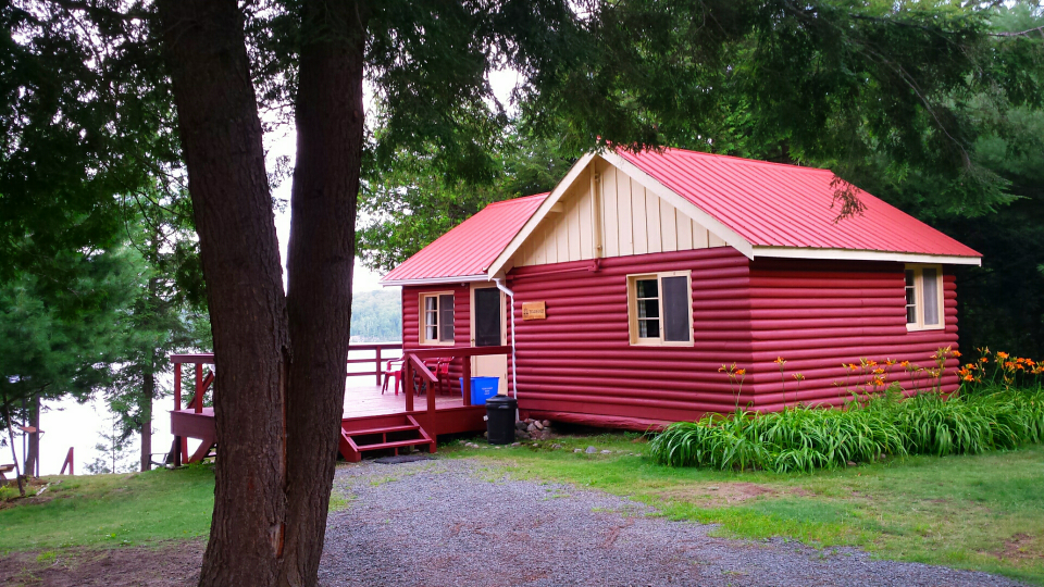 Loons Nest Backyard.png