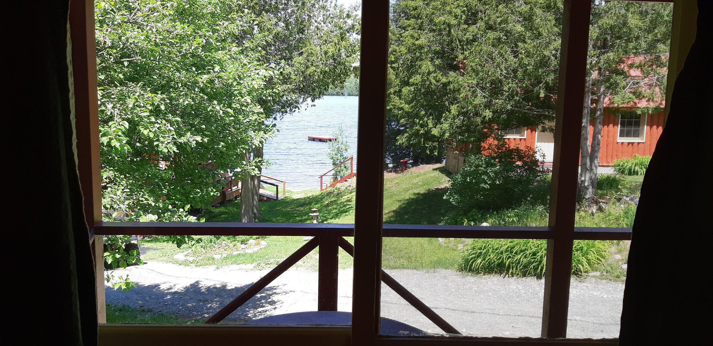 Ladybug Dining Room View.jpg