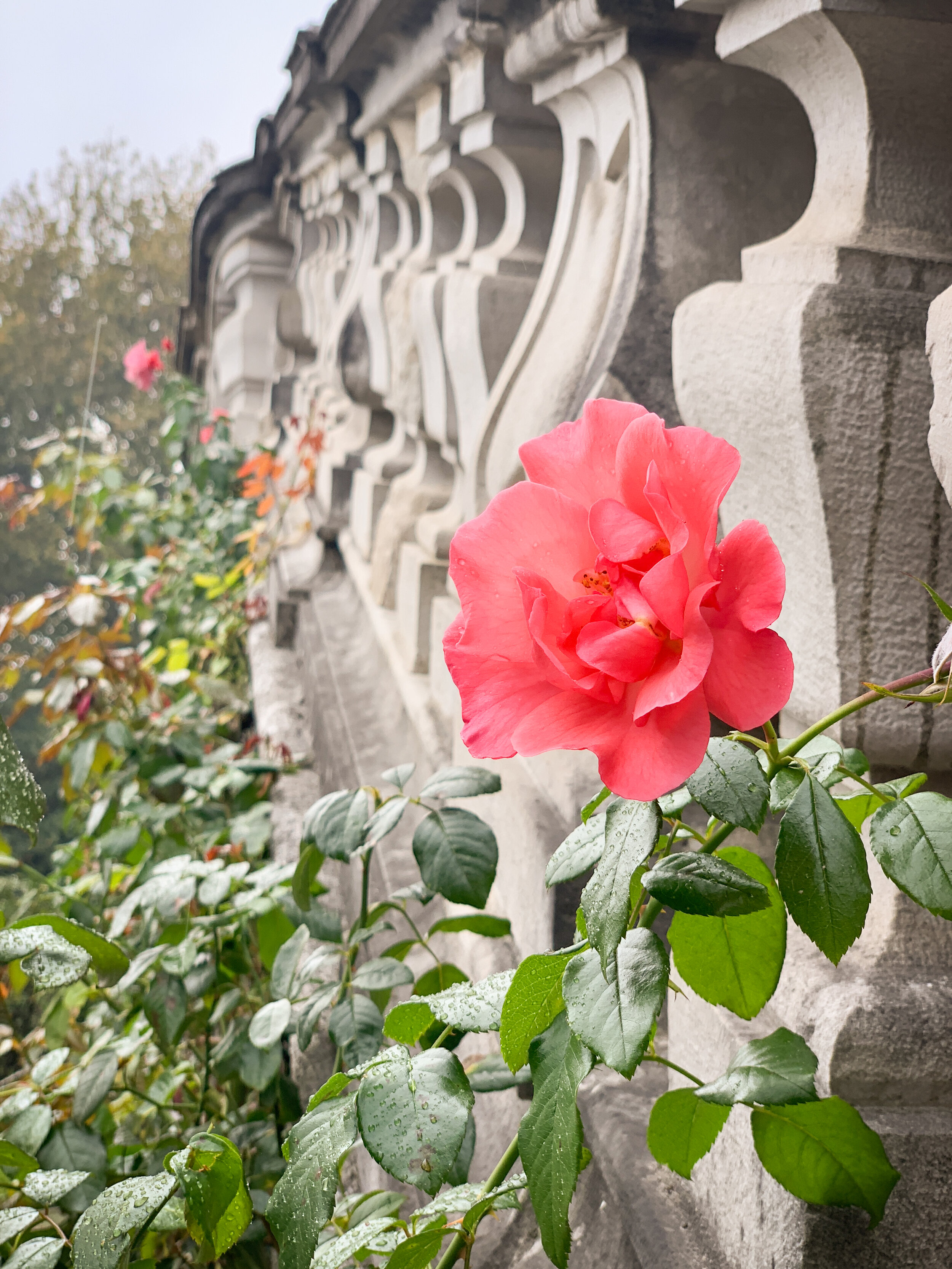 LakeComoVillaCarlotta