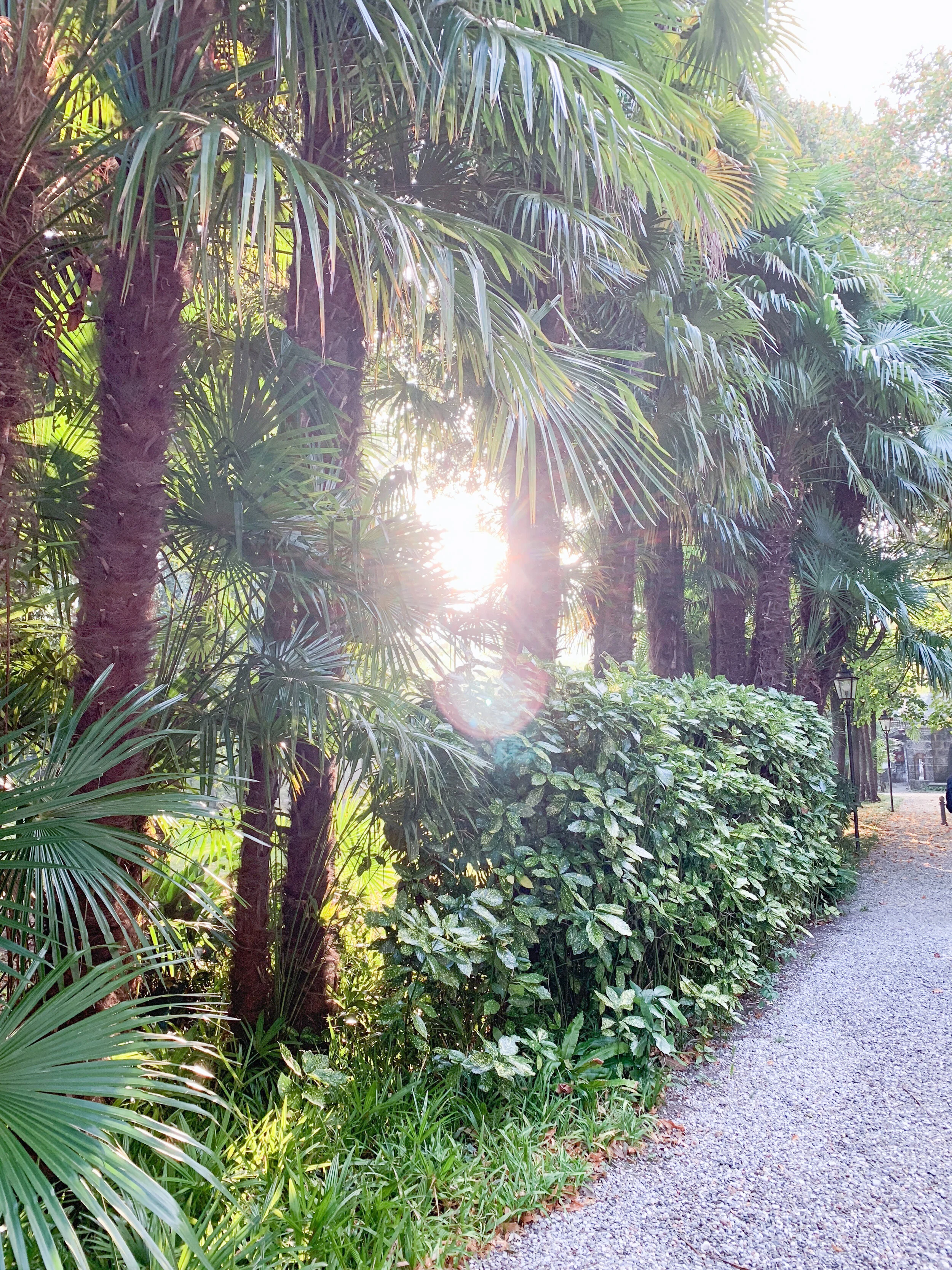 LakeComoVillaTrottiGarden