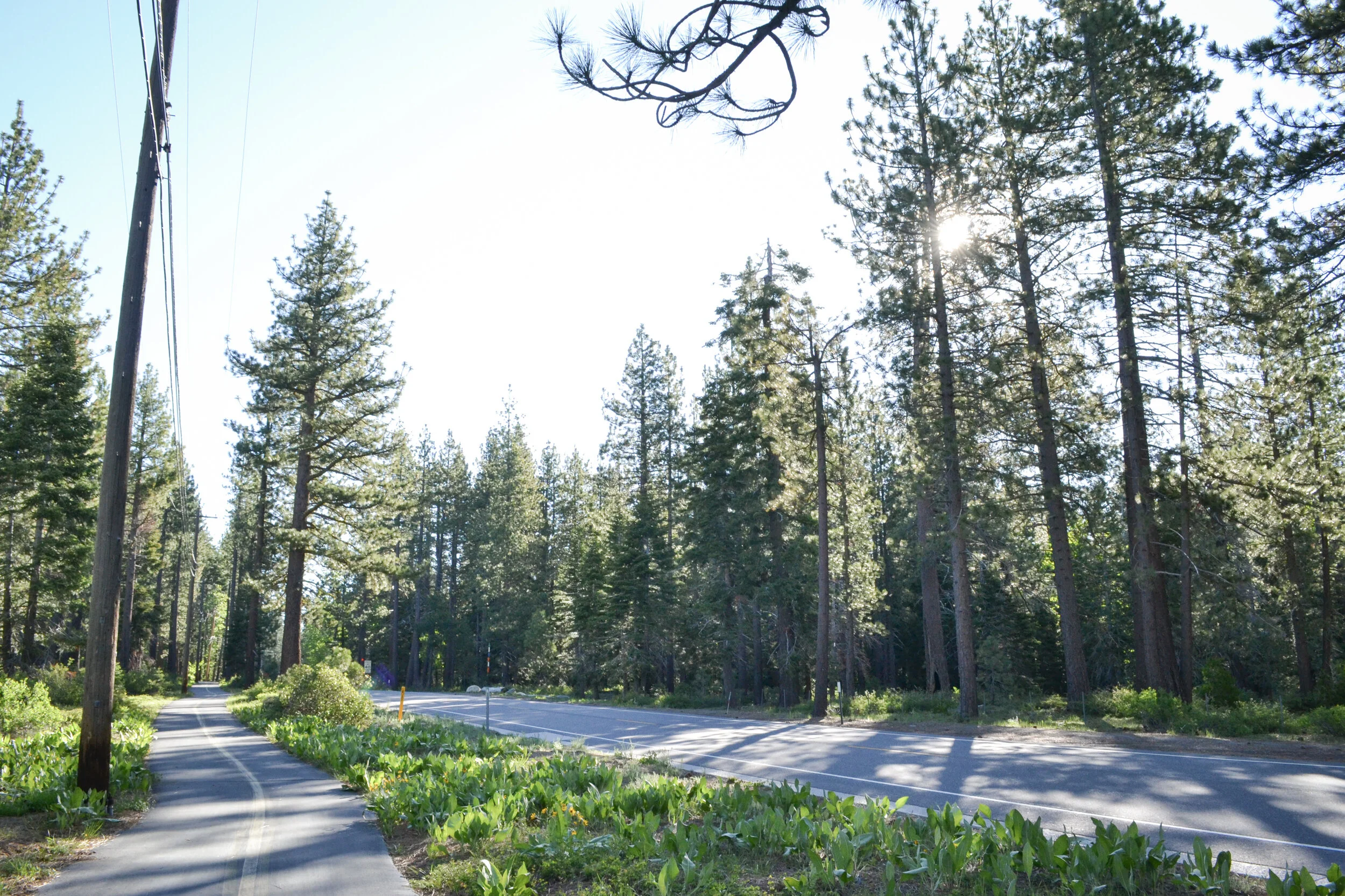 bike-path-lake-tahoe