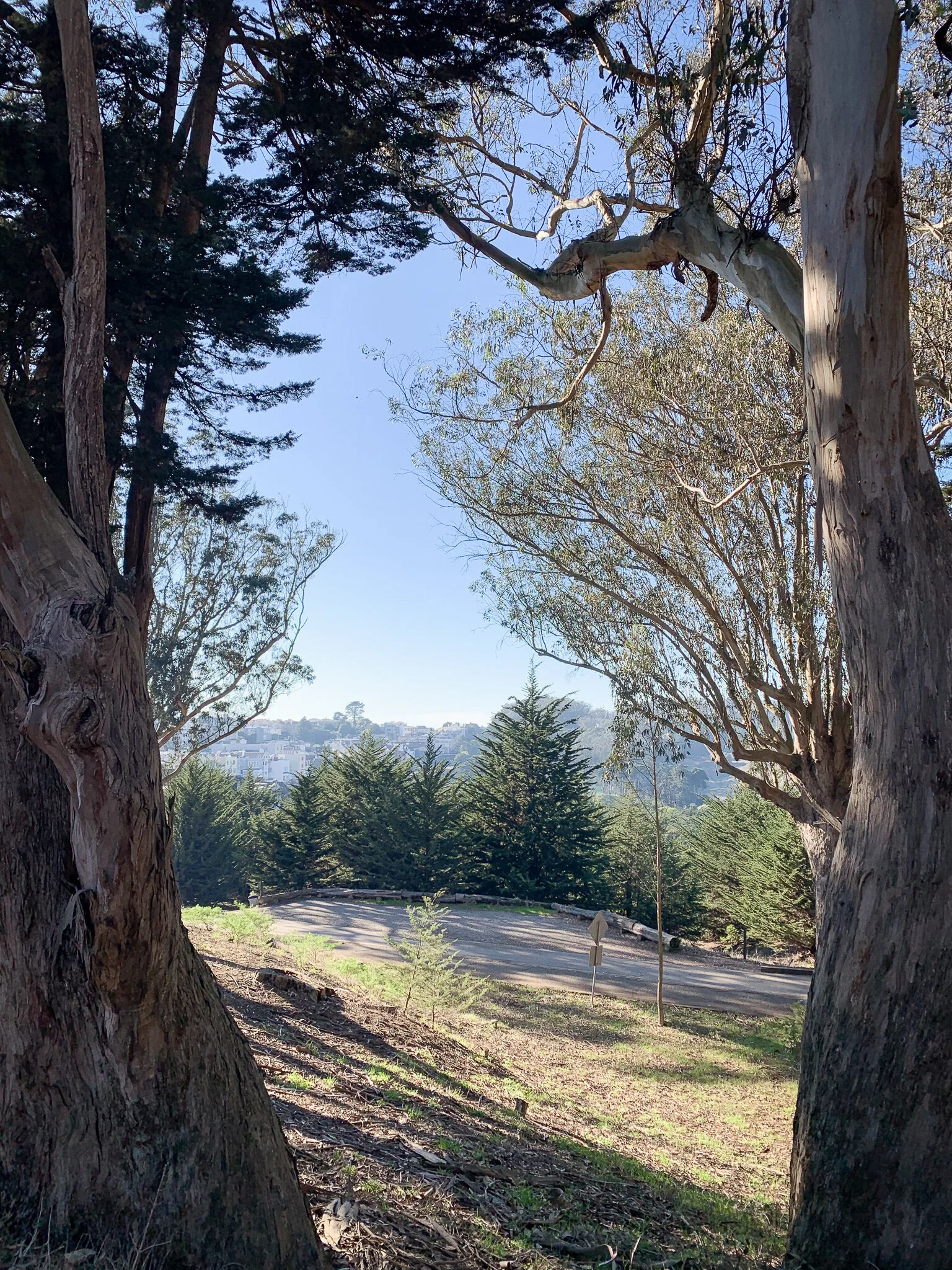 presidioview.jpg