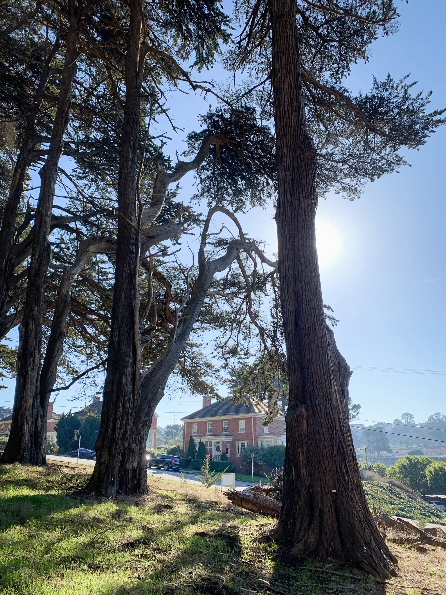 liggettpresidio.jpg
