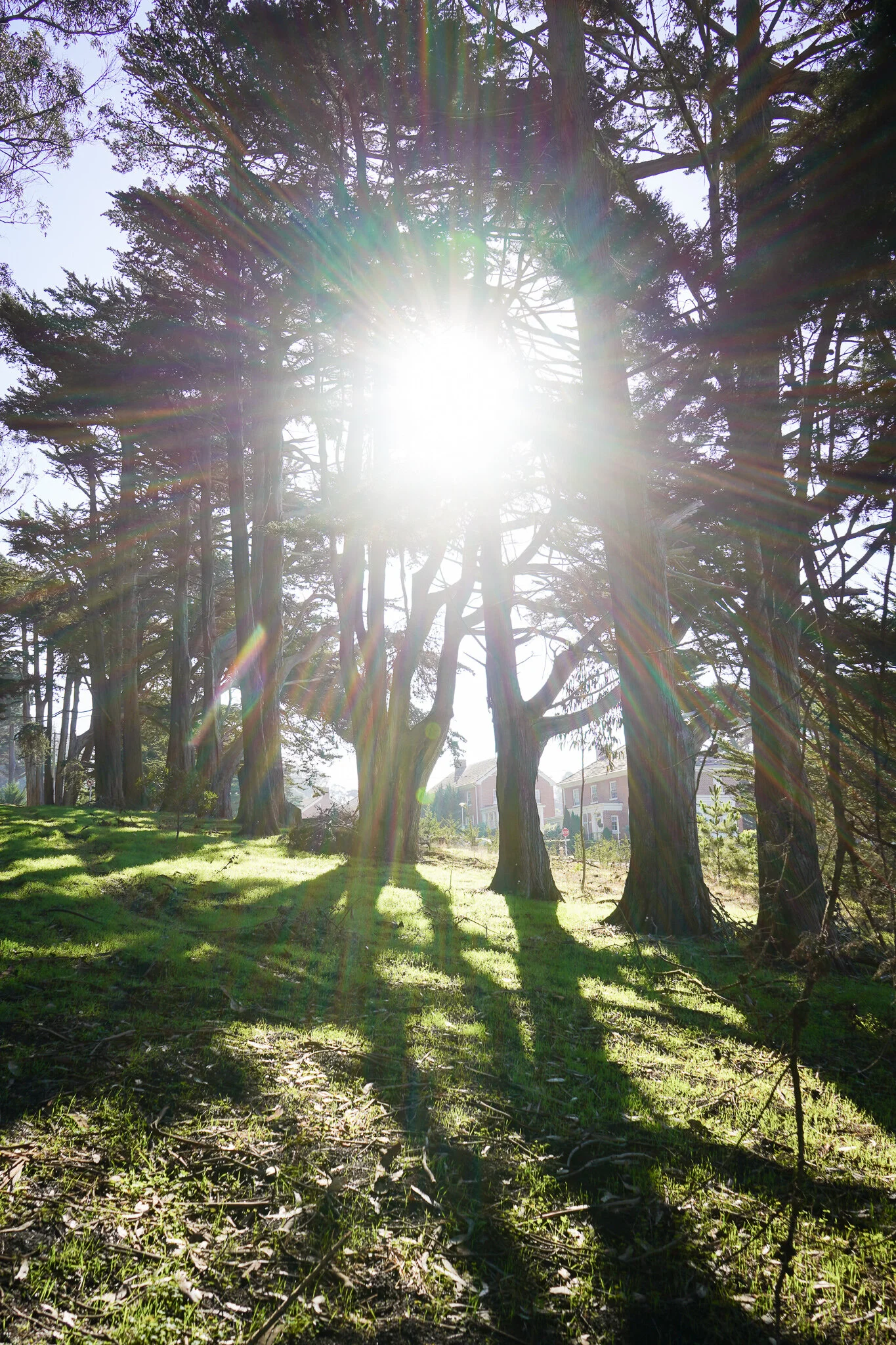 presidiosunshine.jpg