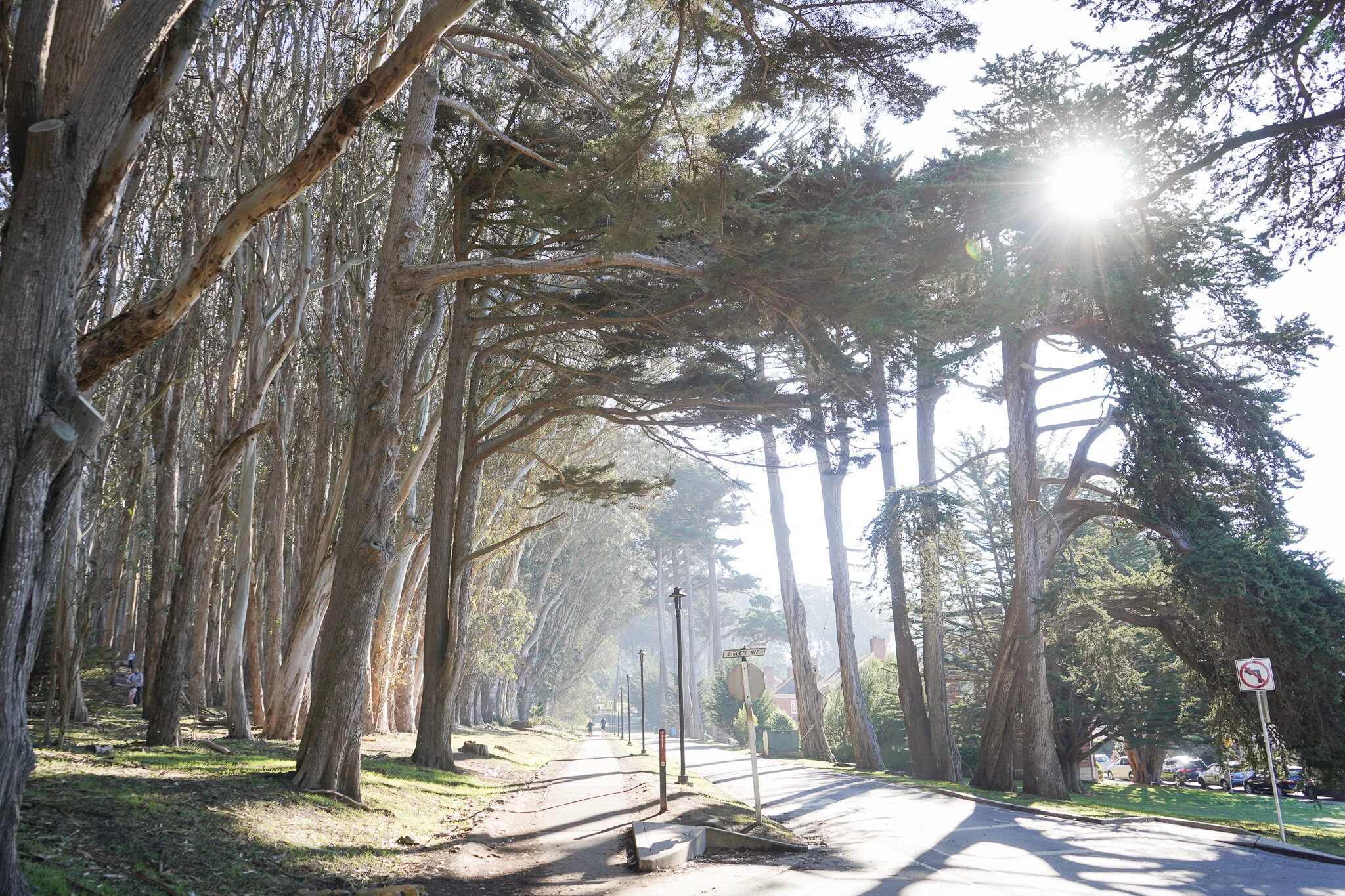 Lover's Lane