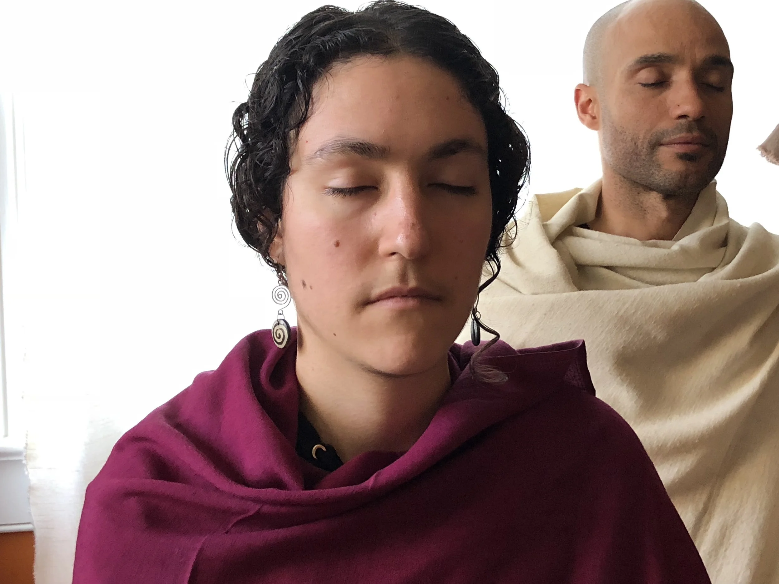 Meditation: the Art and Science of Mind Training