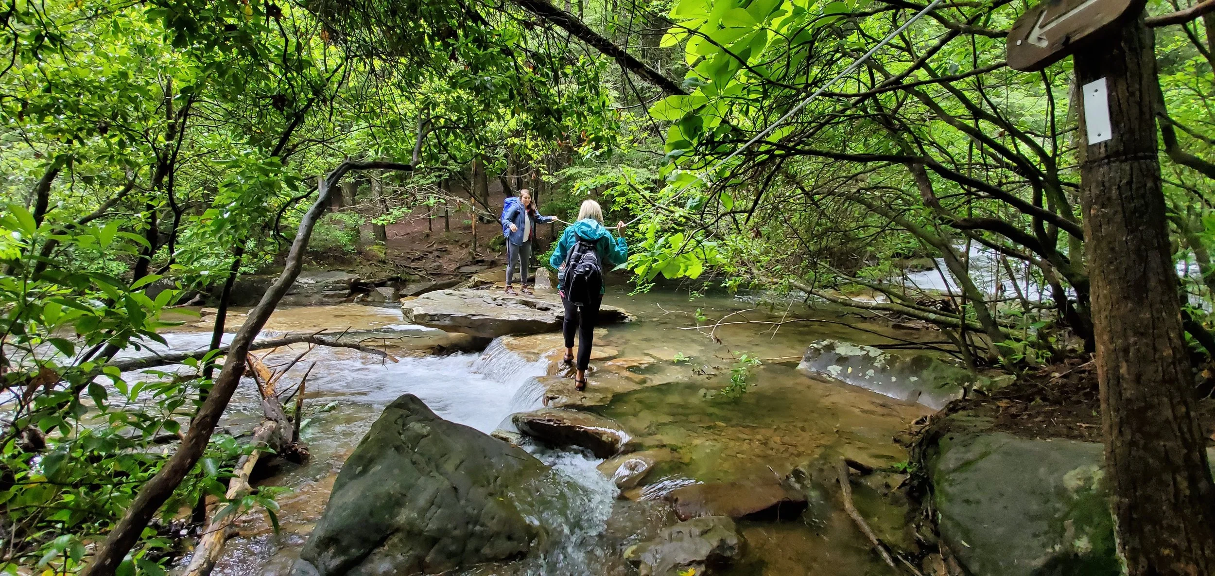 Mom crossing a river with some cables
