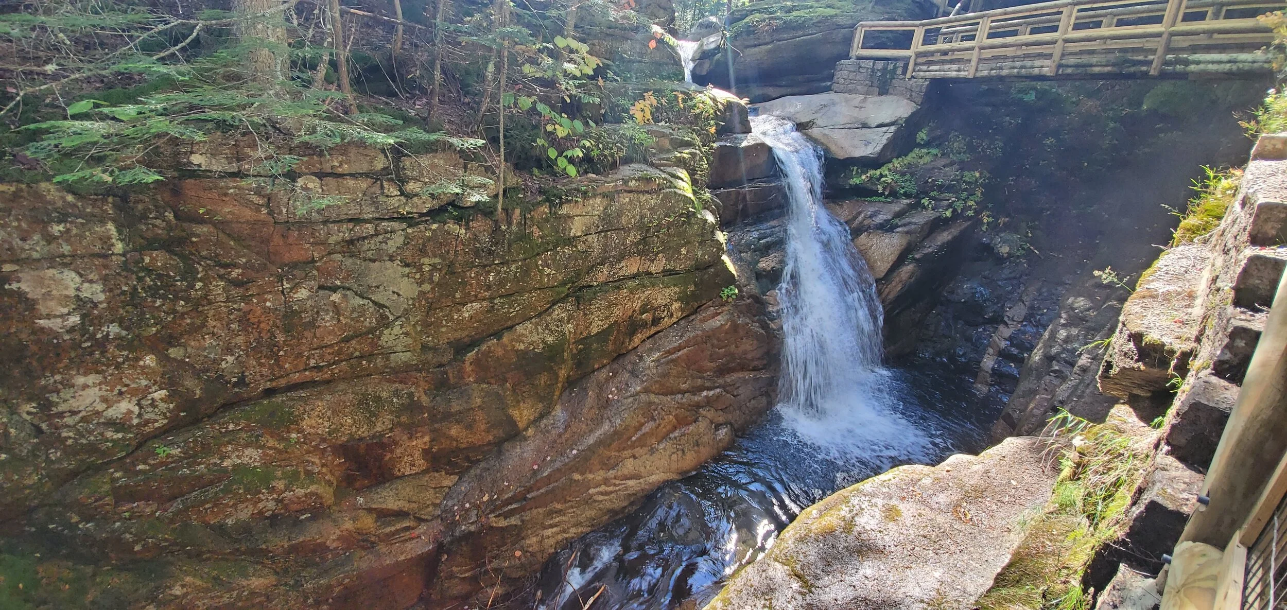 Steak tacos, fish tacos, calimari, wings…. too much to capture in one picture