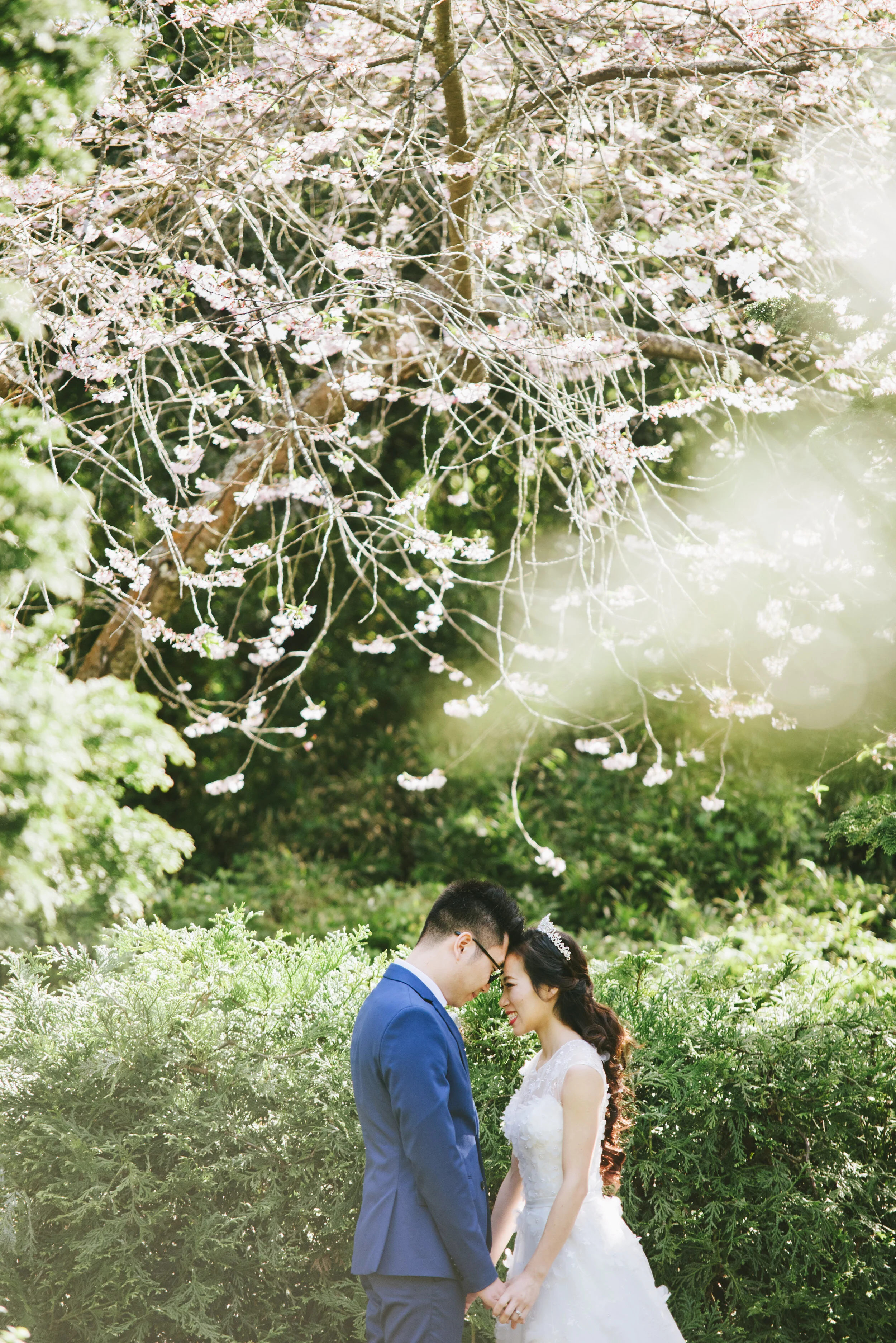 040818_joanne_juno_wedding-570.jpg