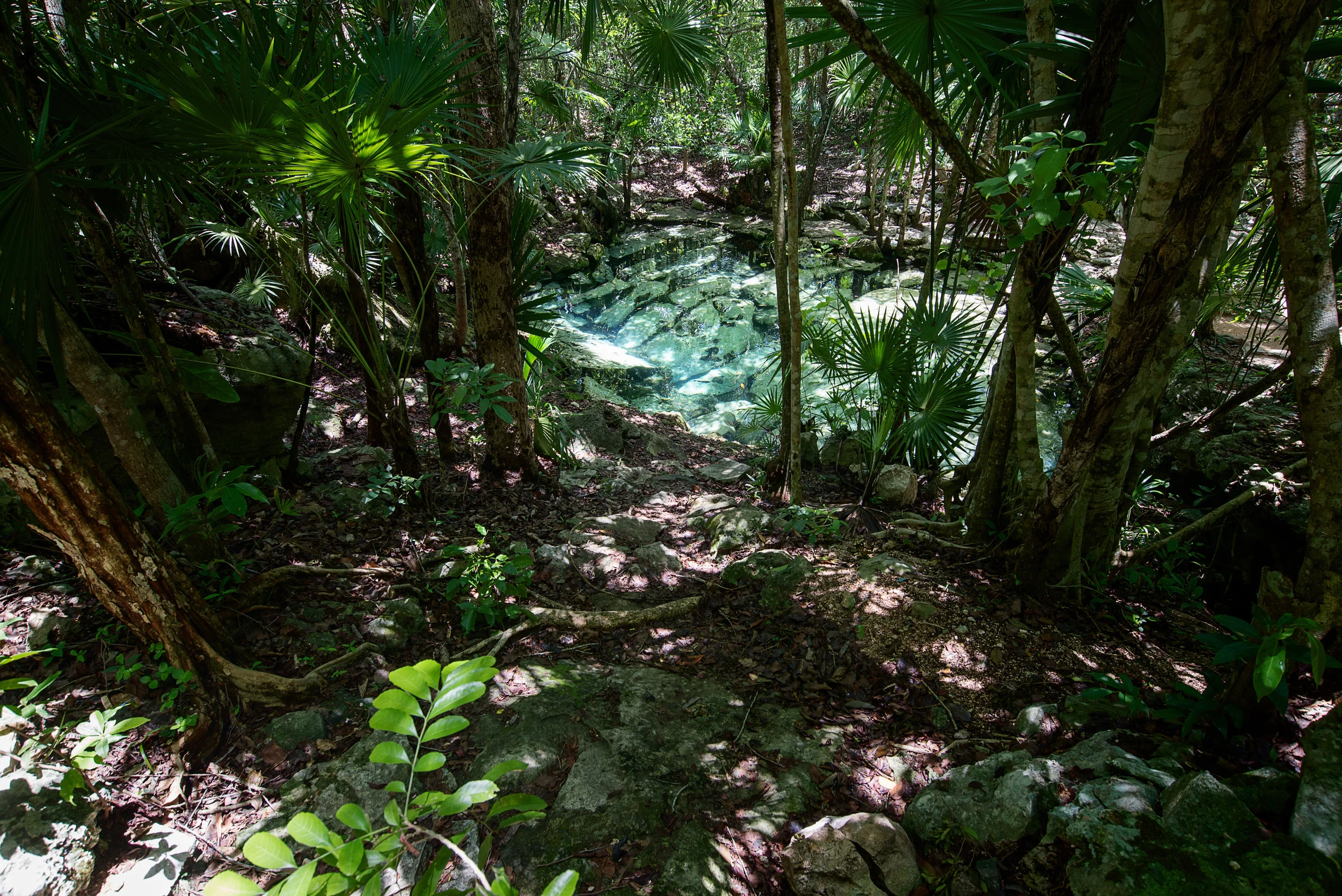Cenote Azul, Quintana Roo