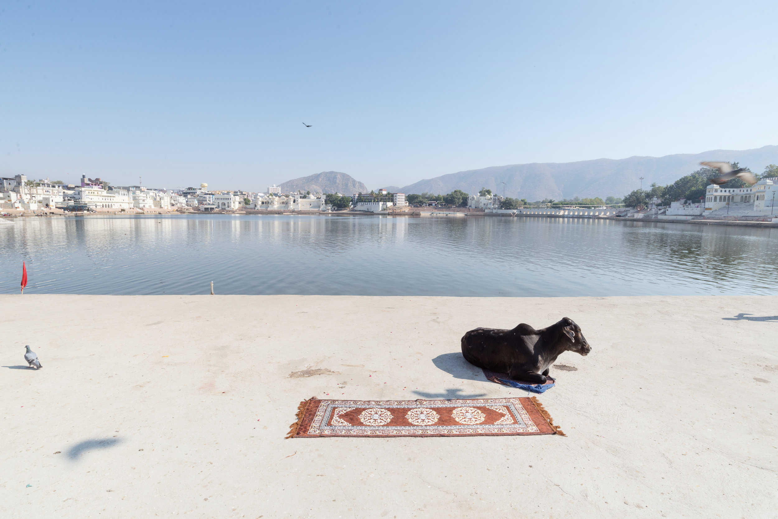 Pushkar Lake, Rajasthan