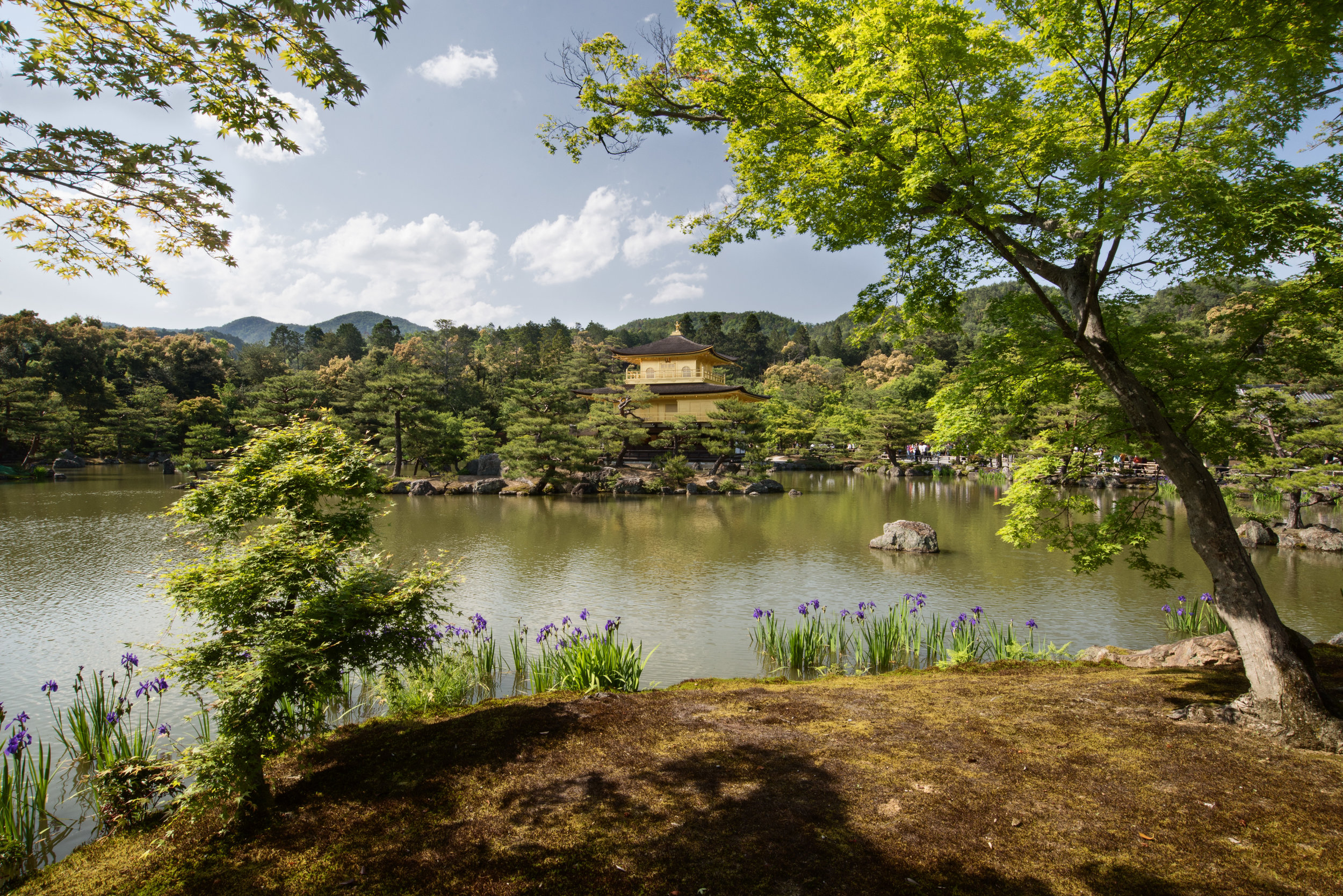 Kinkaku-ji Temple, Kyoto