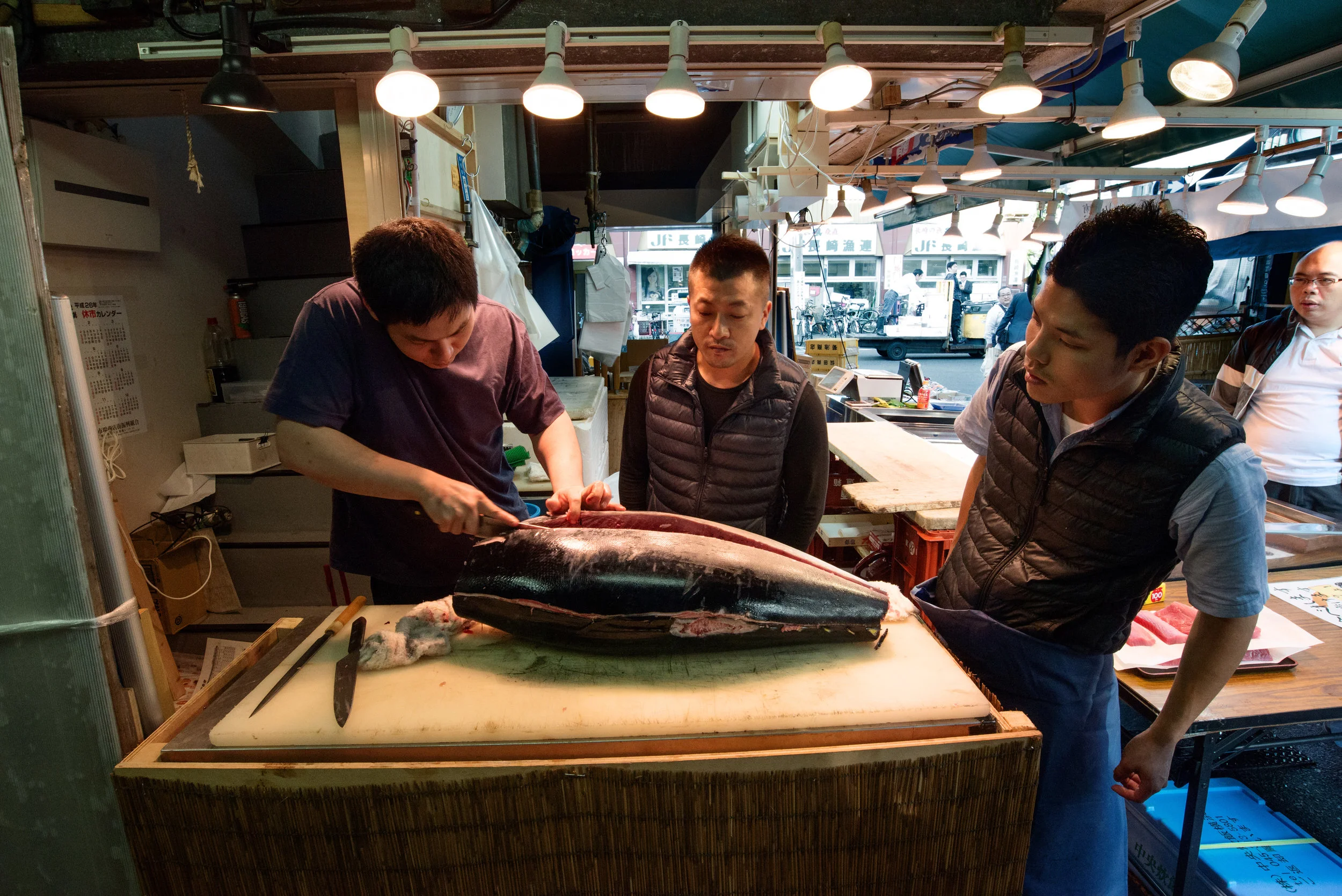 Cutting of the tuna, Tsukiji Market of Tokyo