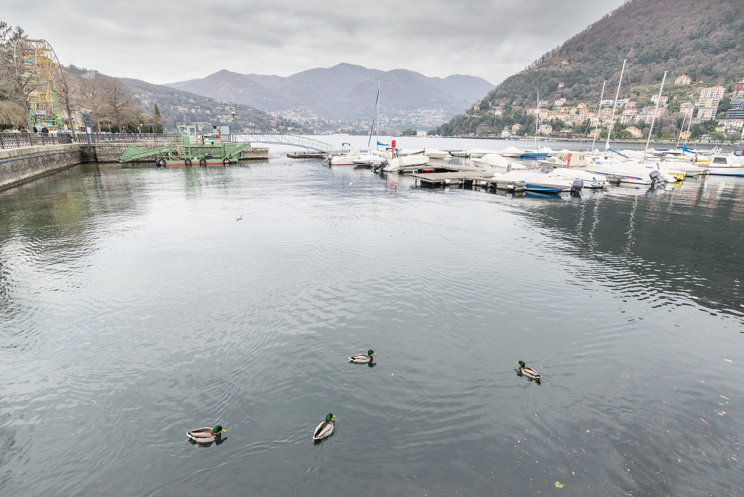 Como