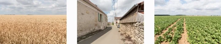 memorama countryside 2.jpg