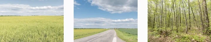 memorama countryside 1.jpg