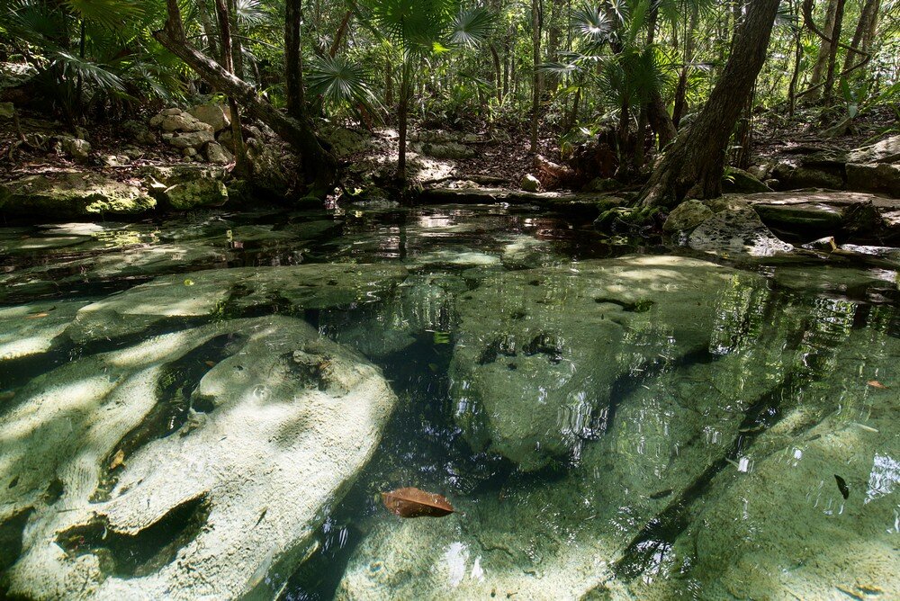 Cenote Azul (2)_tn.jpg