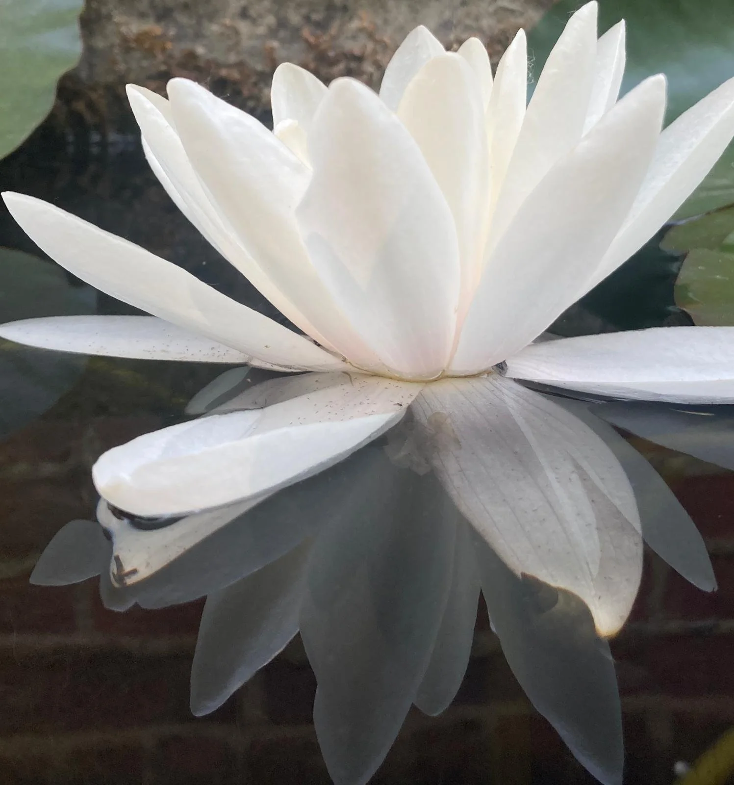 WhatsApp Image 2023-06-22 at 13.07.27.jpeg