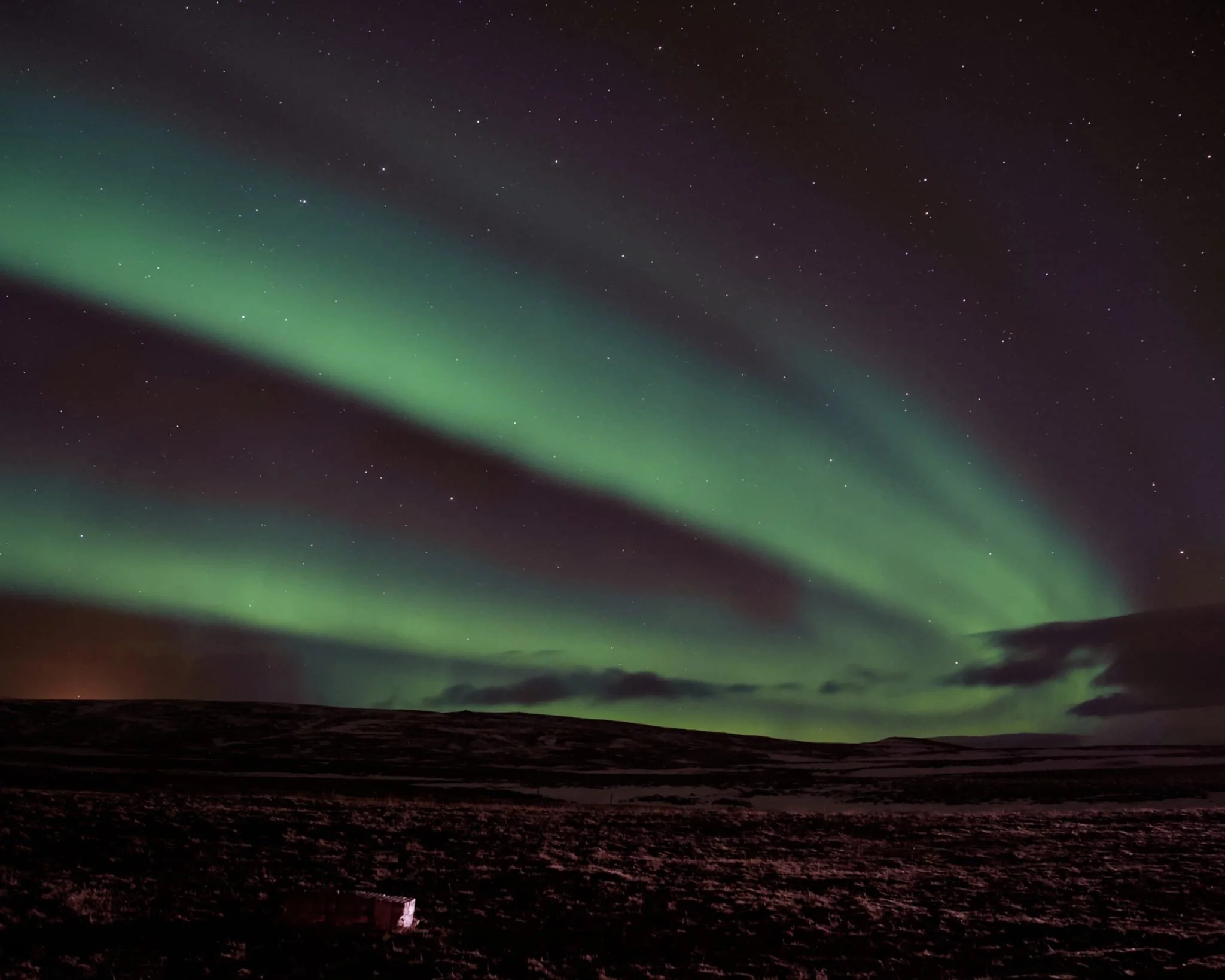 WhatsApp Image 2023-06-22 at 11.02.58.jpeg