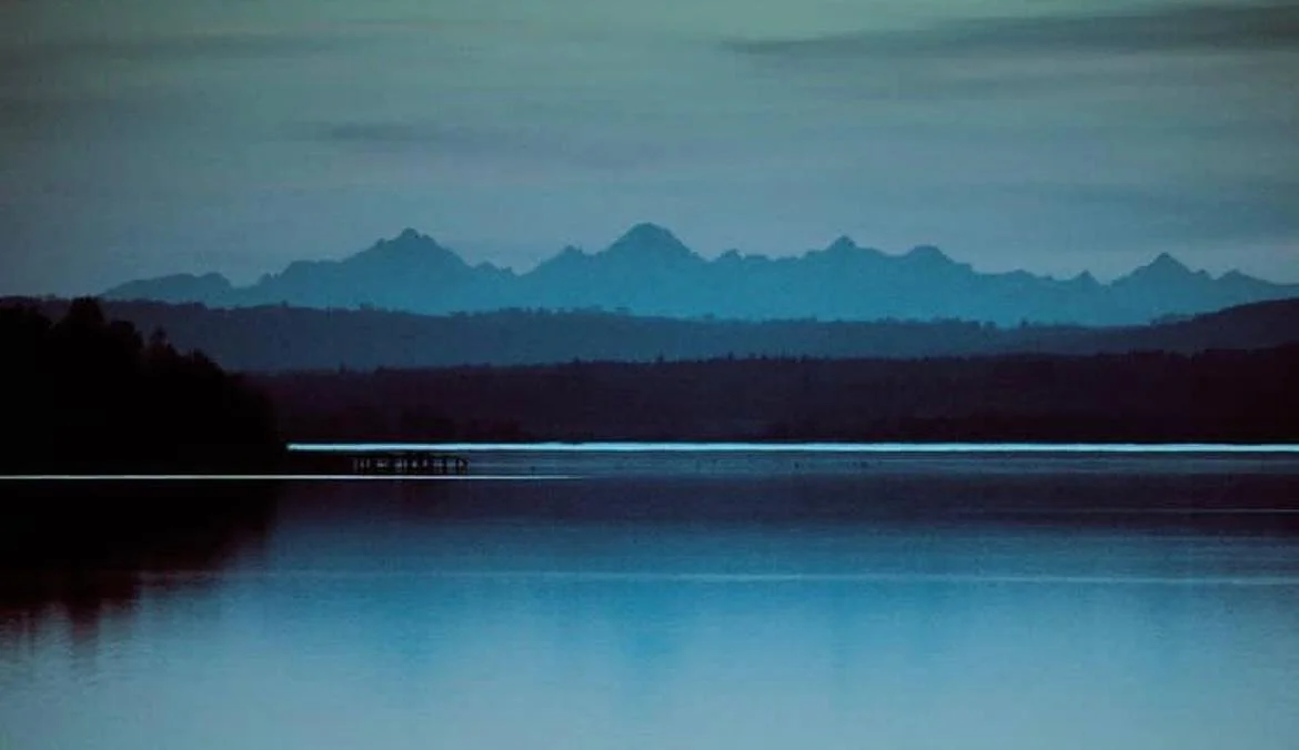 WhatsApp Image 2023-06-22 at 10.50.05 (1).jpeg